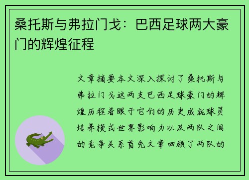 桑托斯与弗拉门戈：巴西足球两大豪门的辉煌征程