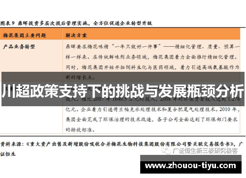 川超政策支持下的挑战与发展瓶颈分析