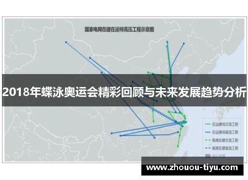 2018年蝶泳奥运会精彩回顾与未来发展趋势分析